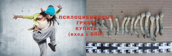 соль курить ск Алзамай