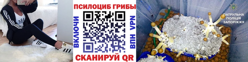 Псилоцибиновые грибы GOLDEN TEACHER  где можно купить   Усть-Лабинск 