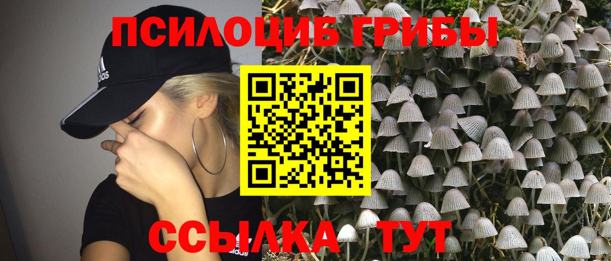 Усть-Лабинск  Псилоцибиновые грибы Magic Shrooms  Вход с VPN 