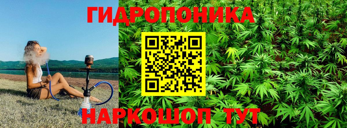 МАРИХУАНА OG Kush  Вход с VPN  Бошки Шишки SATIVA & INDICA  Шишки марихуана VHQ  Усть-Лабинск 
